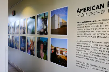American Pedestrian - Christopher Trotchie