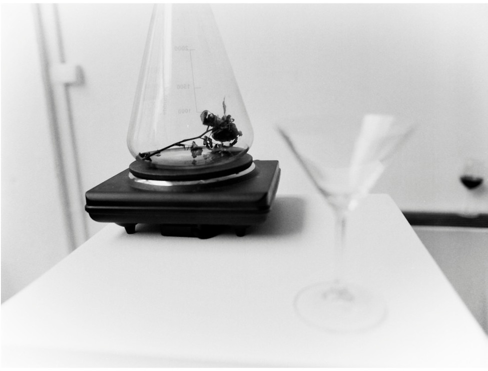 1_HP5 -  (14)_edited.jpg