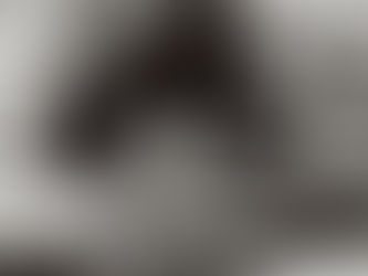 * WE WILL SEE THE WORLD AGAIN *