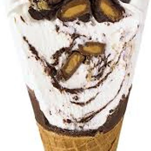 Moose Track Cone