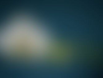 From Baby Jaycee to Full-Fledged Orchid