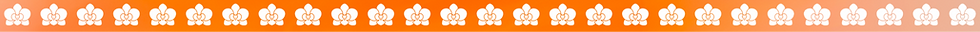 orchid motif bar_edited.png