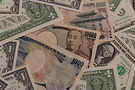 AdobeStock_2066425610.jpeg