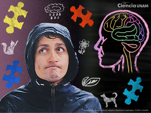 “¡Pareces Autista!” El Chiste Que Algunas Personas Escuchan Durante Toda Su Vida, Pero Aún Así… No Lo Entienden.