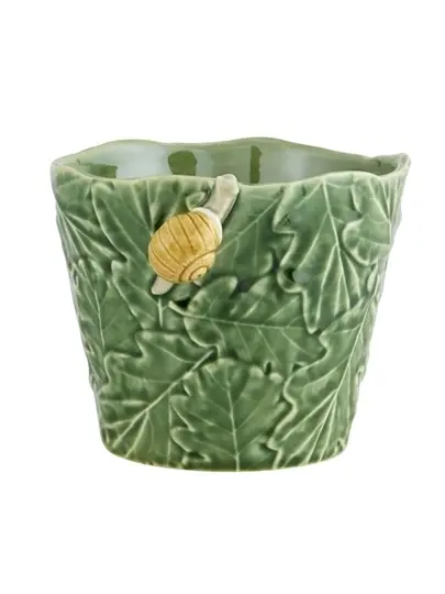Vase Snail