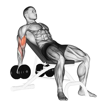 dumbbell-incline-biceps-curl.webp