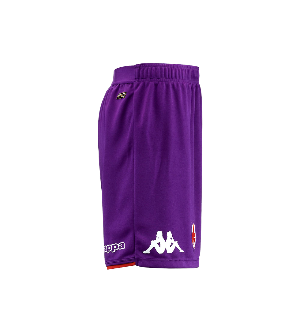 Miniatura: CD-74 AC FIORENTINA