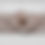 Thumbnail: Light Brown Solid SILVER Foil Heavy VENECHIA Fabric by the yard