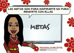 metas 5