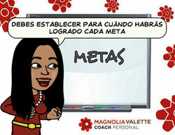 metas 6