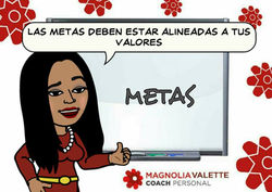 metas 7