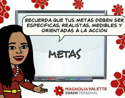 metas mv 1