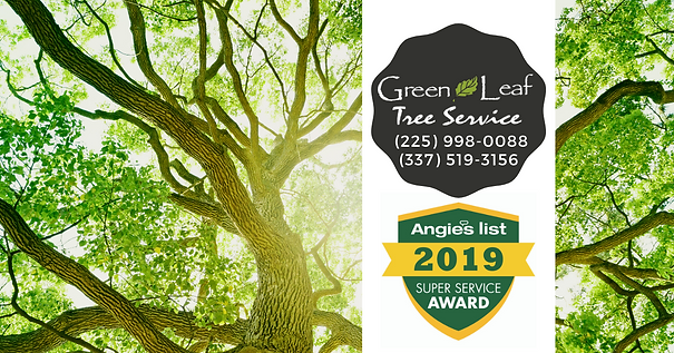 TREE SERVICES BATON ROUGE LA
