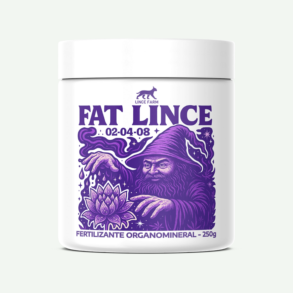 Miniatura: FAT LINCE