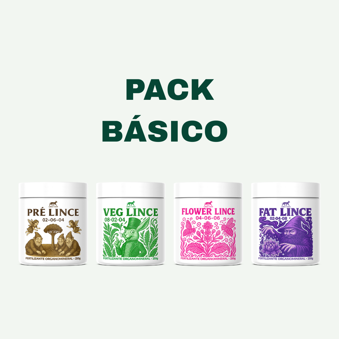 PACK BÁSICO – P ou G