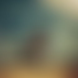 Bruce Springsteen Releases “There Goes My Miracle”!