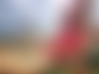 Sammy Hagar & The Circle Release New Single “No Worries”!