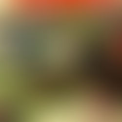 Rival Sons Release New Single “Look Away”!