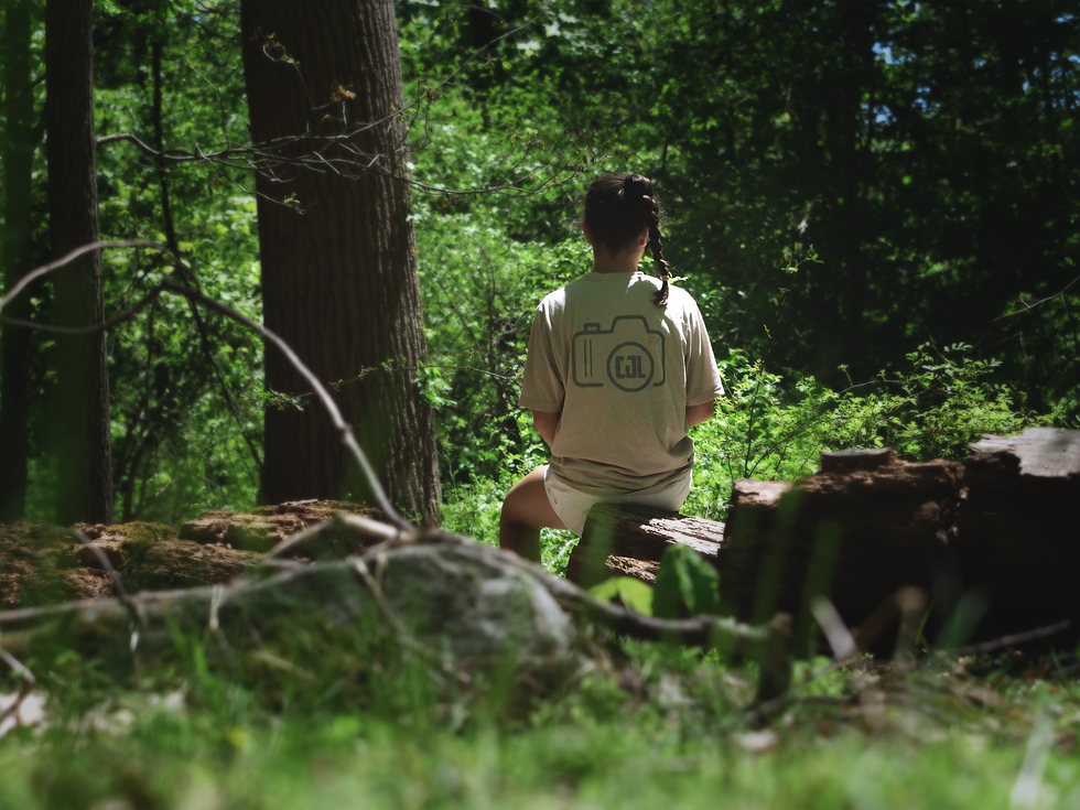 Thumbnail: "CJLFX" Classic Tee (grey)