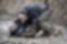 fight-mud1.jpg