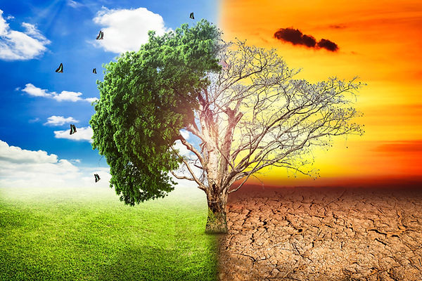 climate.jpeg