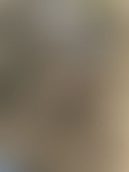 Broken...Broken...Gone...Gone... Broken