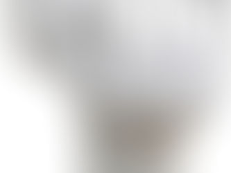 Best Raised Toilet Seats for Seniors : A Physical Therapist's Guide