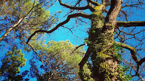 Reconversion des adultes dans les annees à venir