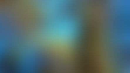 Reconversion des adultes dans les annees à venir