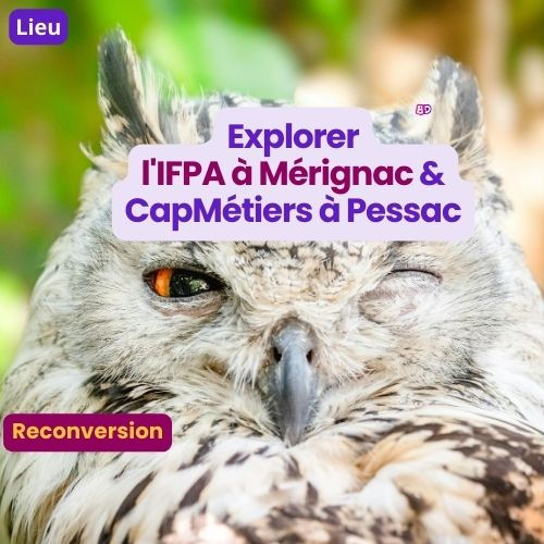 reconversion professionnelle à Pessac : découvrez l'IFPA à Mérignac et CapMétiers