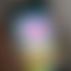 Réseaux sociaux en 2024 : 6 tendances incontournables et le top 10 en France