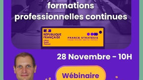 Hybridation des formations professionnelles continues (france stratégie)