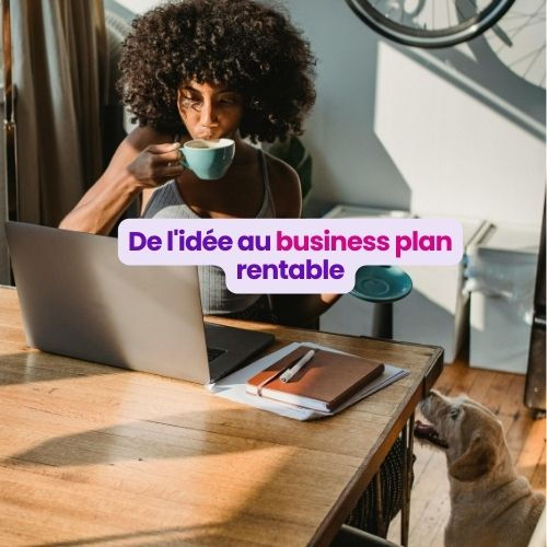 De l'idée au business plan rentable