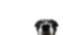 AdobeStock_574736198.jpeg