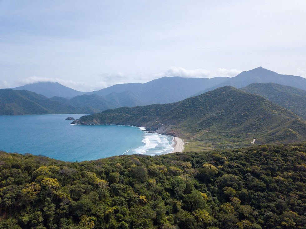 El Caribe cada vez más cerca de convertirse en Región Entidad Territorial