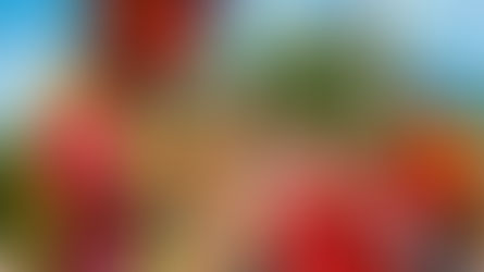 En la mañana de este viernes la Intendencia Fluvial fue el escenario para la Izada de Bandera del Carnaval de Barranquilla 2026. Un símbolo tradicional de la fiesta que da apertura a la celebración más querida por los barranquilleros.