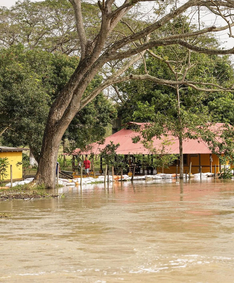 Córdoba atraviesa por una emergencia ambiental debido a las lluvias que han provocado inundaciones en distintos municipios del departamento, y que ha dejado alrededor de 43.000 familias damnificadas, lo que equivale al 80% del territorio cordobés.