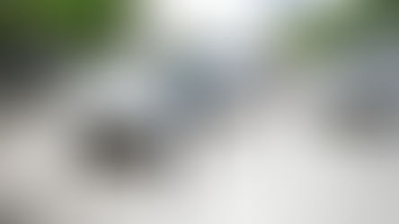 Barranquilla se encuentra preparada para dar inicio a cuatro días fiestas, donde las personas podrán disfrutar de una variedad de eventos y desfiles culturales por toda la ciudad. Para garantizar la fluidez de los vehículos en las vías durante las jornadas con mayor aglomeración, la Alcaldía de Barranquilla, a través de la Secretaría de Tránsito y Seguridad Vial, anunciaron la implementación de la medida de pico y placa en toda la ciudad. La medida se estableció por medio del Decreto 0036 del 26 de enero de 2026, dando inicio a partir del viernes 13 hasta el lunes 16 de febrero.