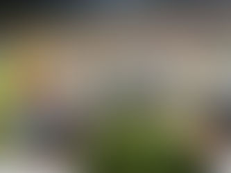 Los ‘Tiburones’ quedaron campeones en Ibagué. Este martes 16 de diciembre quedará para la historia del equipo barranquillero quienes se consagraron como los ganadores del futbol colombiano en el estadio Manuel Murillo Toro, luego de salir victoriosos en el partido de ida dejando un marcador de 1 – 0 protagonizado por el jugador José Enamorado en el minuto 17.