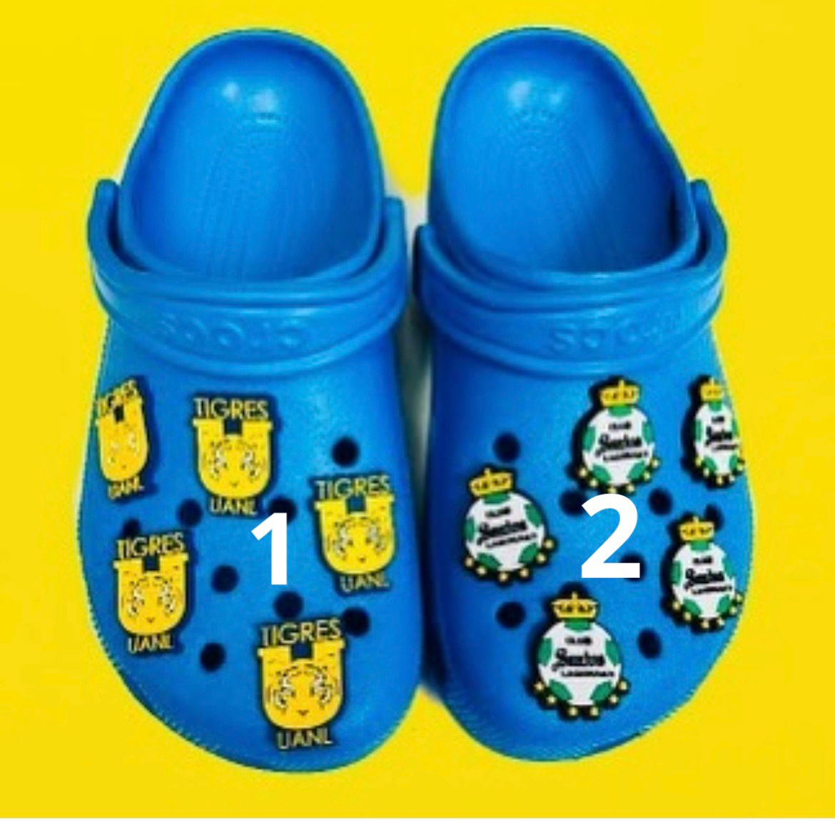 Tigres y Santos 