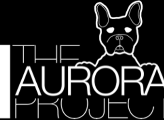 The Aurora Project.png