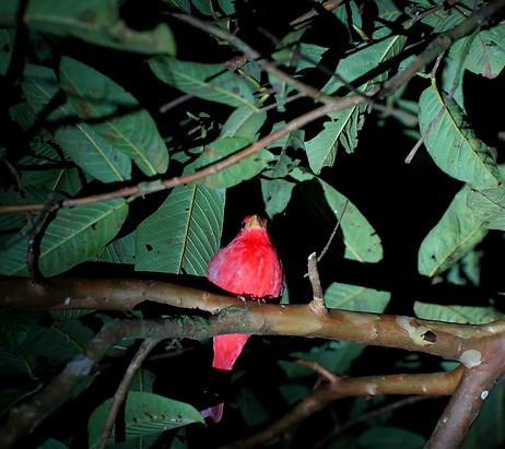 DSC04497_edited.jpg