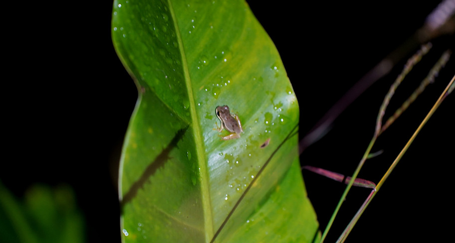 DSC04650_edited.jpg