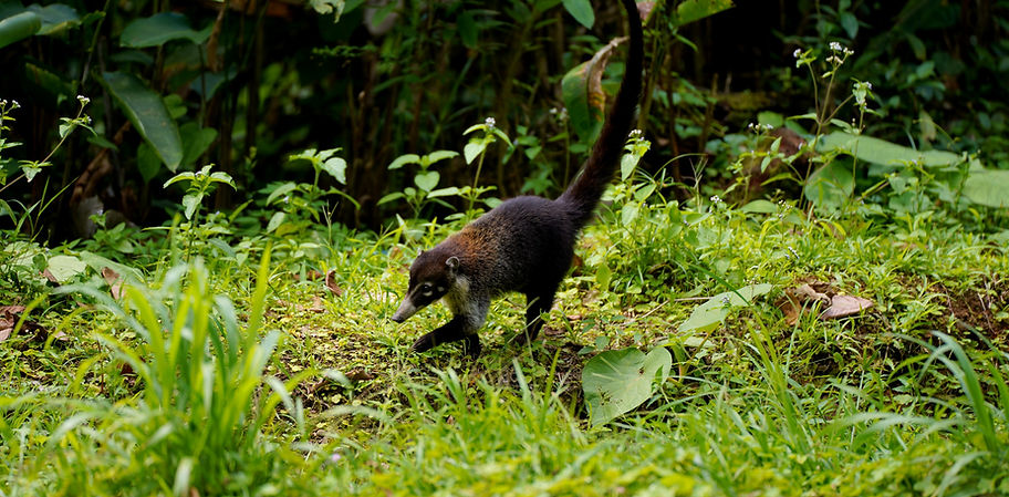 DSC04488_edited.jpg