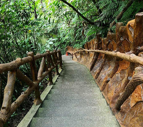 IMG_20220129_082205_edited.jpg