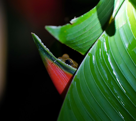 DSC04505_edited.jpg