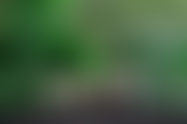 Carbon Tariffs and the New Climate Mercantilism: How Green Protectionism Is Redefining Global Trade