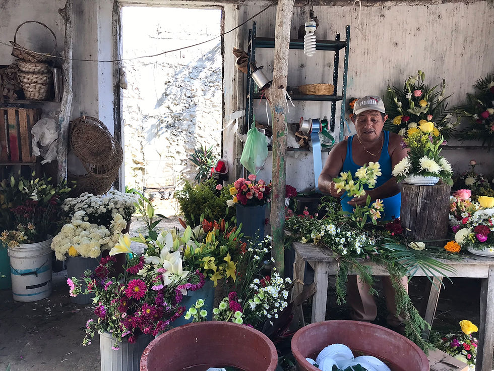 #mexico #yucatan #quintanaroo #bacalar #hanalpixan #dayofthedead #diademuertos