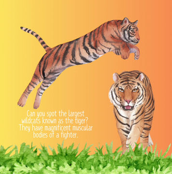 Thumbnail: Zoo Poop -  4 of 12 in the Poop Book Series