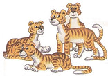 английский язык верещагиной. Exercise 4, tigers. 3 класс, урок 2, упр 4